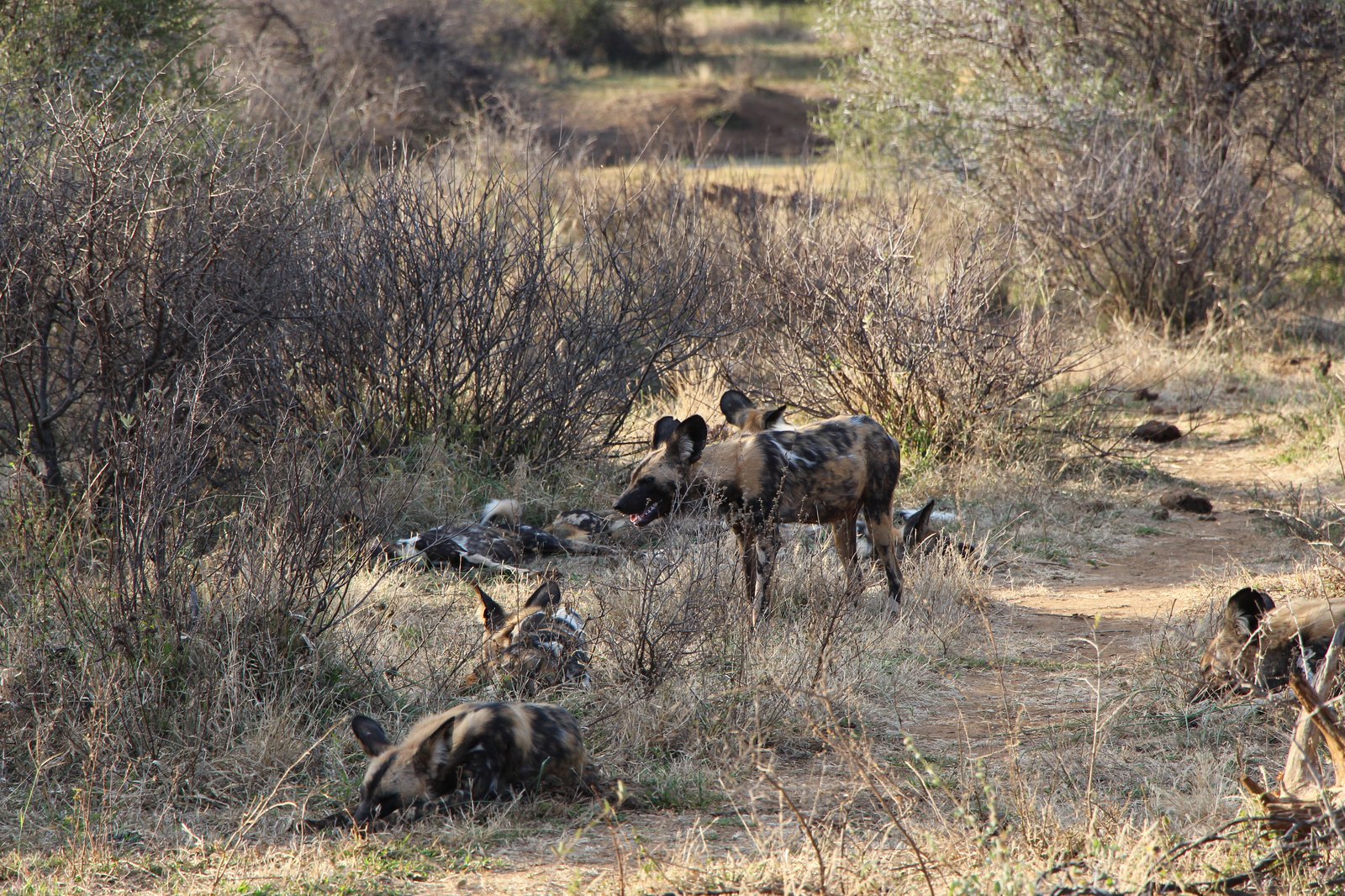 MarcSuedafrika_08