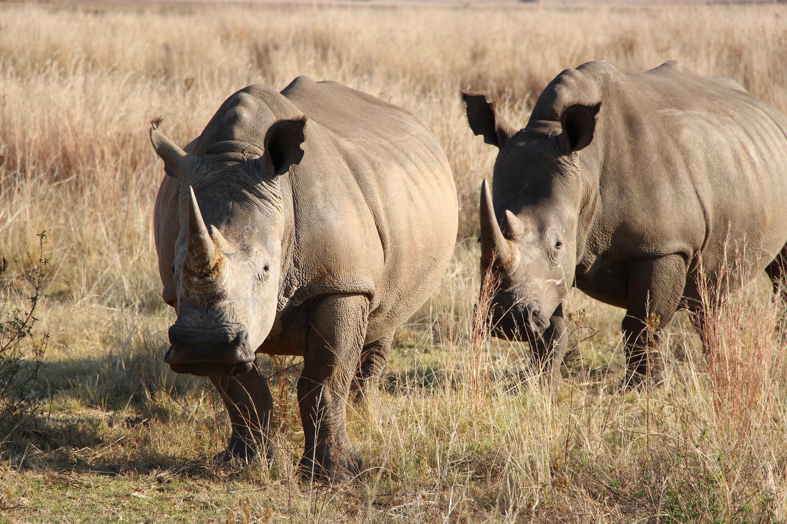 MarcSuedafrika_09