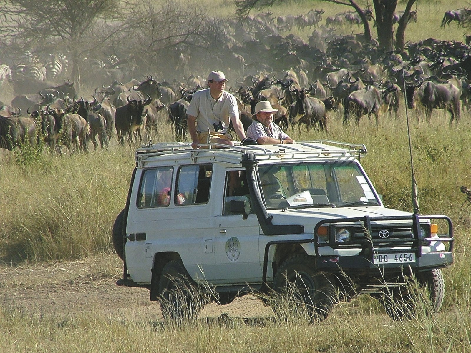 Mitten in der großen Migration